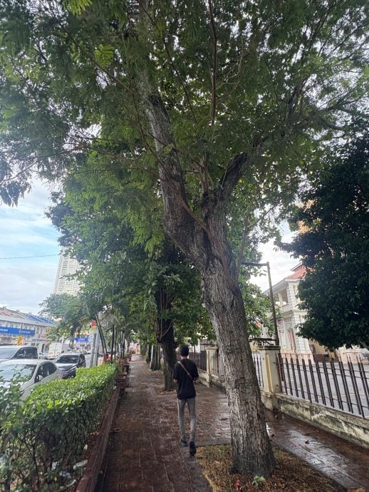 (大北马)槟州2020年至今共9起因自然灾害造成死伤事故 州政府全面部署减灾行动