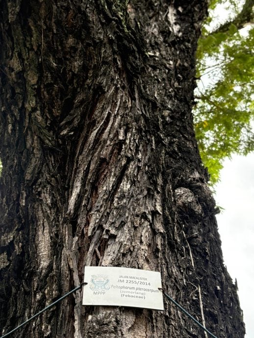 (大北马)槟州2020年至今共9起因自然灾害造成死伤事故 州政府全面部署减灾行动