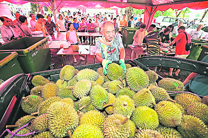 （大北马）沈志勤推“榴梿旅游” 吸引游客到新港爬榴梿山 