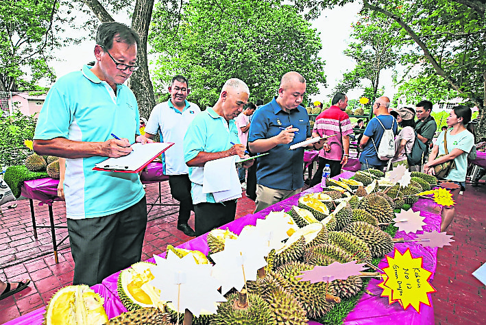 （大北马）沈志勤推“榴梿旅游” 吸引游客到新港爬榴梿山 