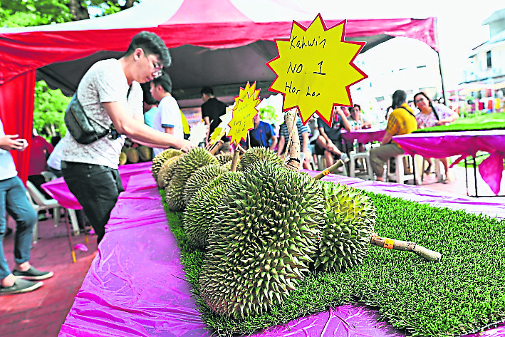 （大北马）沈志勤推“榴梿旅游” 吸引游客到新港爬榴梿山 