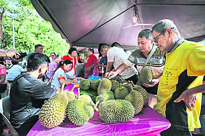 （大北马）沈志勤推“榴梿旅游” 吸引游客到新港爬榴梿山 