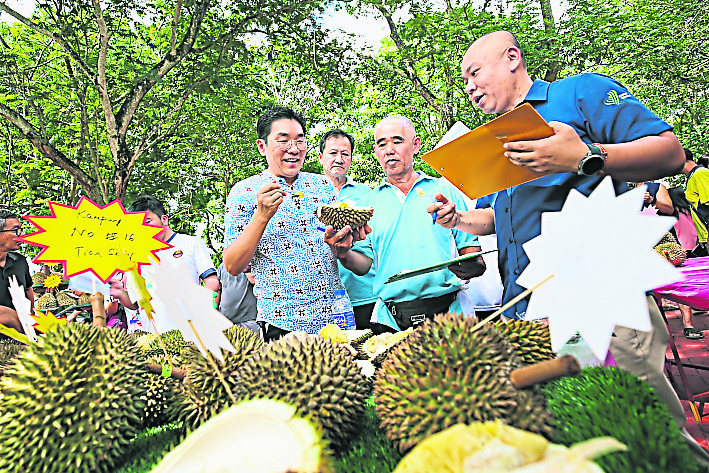 （大北马）沈志勤推“榴梿旅游” 吸引游客到新港爬榴梿山 