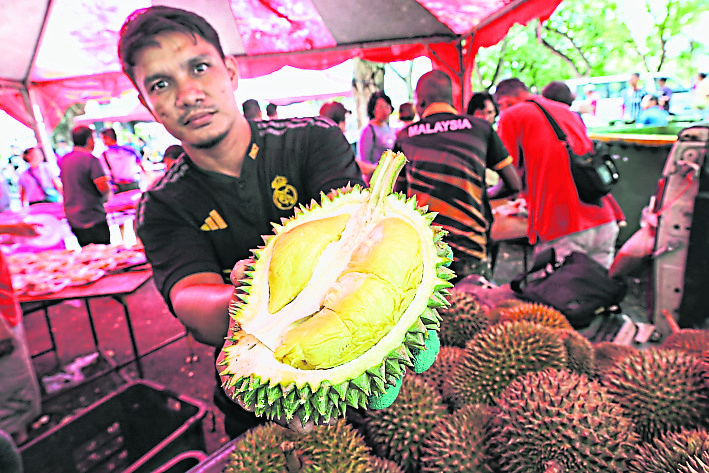 （大北马）沈志勤推“榴梿旅游” 吸引游客到新港爬榴梿山 