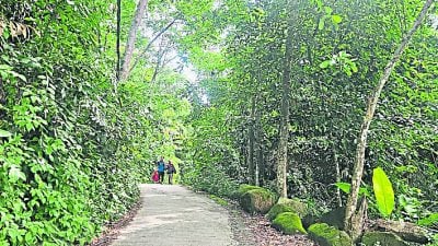 视频 |沈志勤：拨款逾20万修复山路   7月13来爬山吃新港榴梿