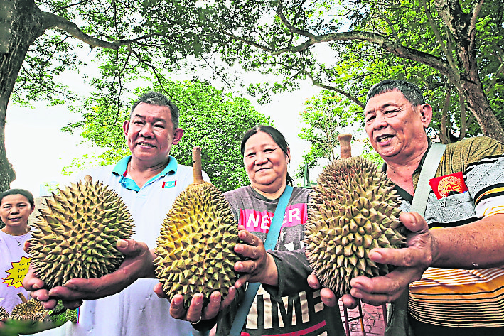 （大北马）沈志勤推“榴梿旅游” 吸引游客到新港爬榴梿山 