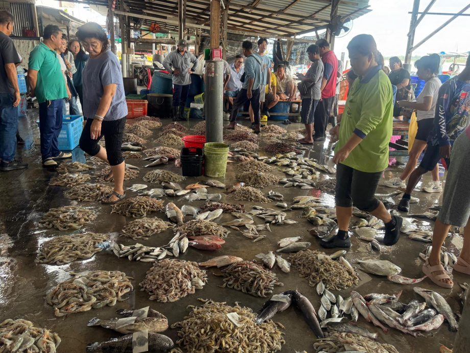 （大北马）法丽娜与高渊港口渔民对话