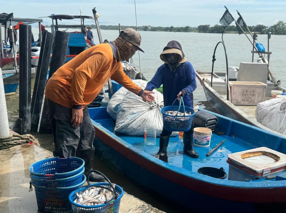 （大北马）法丽娜与高渊港口渔民对话