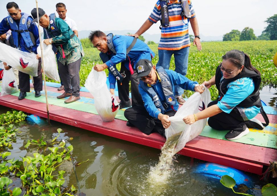 （大北马）玻通过河流条例，禁随意放生或释放外来鱼种，违例可罚款2万