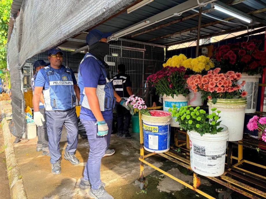 (大北马)路边无牌花摊被对付 市厅一口气拆完