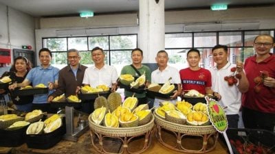 郑来兴：感谢支持协助  600公斤榴梿款待300嘉宾 