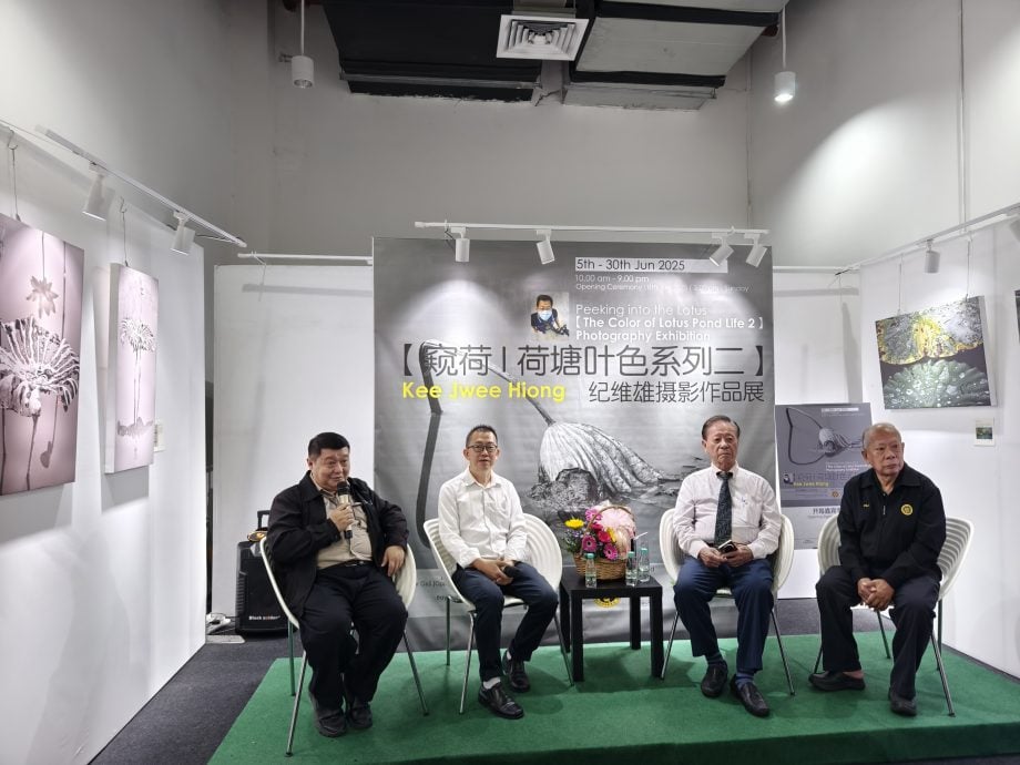 “窥荷丨荷塘叶色系列二”摄影展 6月5日至30日邀你来窥荷