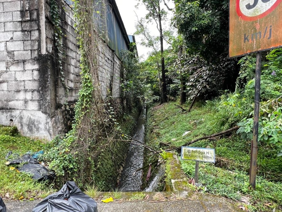 (已签发)柔:新山市厅指示厂家清理油污 林添顺:环境局监督协调