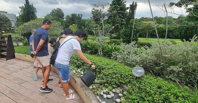 (已签发)柔:狮城二三事:4年内翻了一倍多 更多人选择骨灰撒土