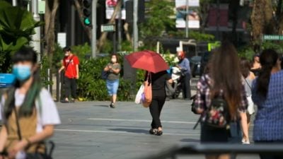 狮城接下来两周 最高气温可达摄氏35度