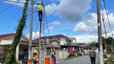 电缆屡被罗里勾倒  锡米山新村大换电线杆