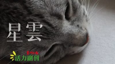 【不假思索的消费】因回忆而施舍/黄子诚（蒲种）