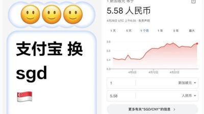 社媒找上“钱币兑换商”   留学生诉：换2000新元只收到100元