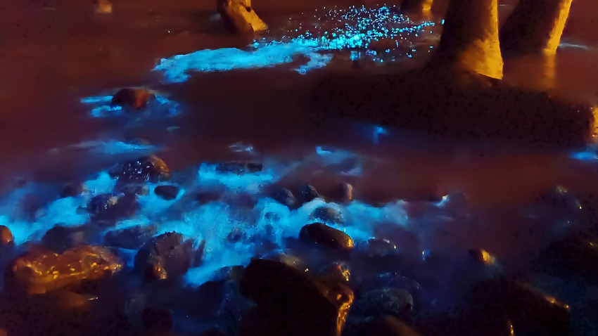 Kim Teoh／马祖蓝眼泪 那一夜我们一起丢石头