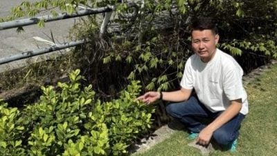 将相花园周边野草丛生．林思健促市局清理