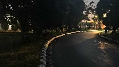卑尔骚路拿督爱德华则里路 . 街灯壊 路积水 树茂盛