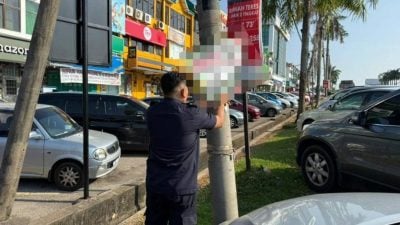 大年市议会大规模行动   单日拆500非法广告条幅