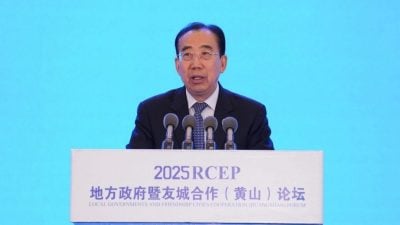 吴海龙：RCEP成全球经济增长新引擎 须防“印太战略”扰区域合作
