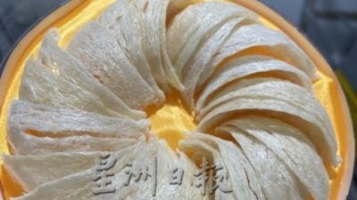 环境卫生得照顾  燕农最怕窃贼上门