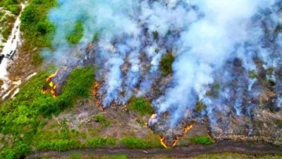 林火难灭仍在蔓延 . 4天烧60公顷油棕园森林