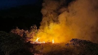 一天两处林火 消拯局：天热别烧芭