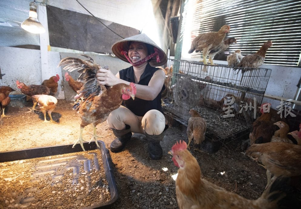 星角摄/乡村田园生活