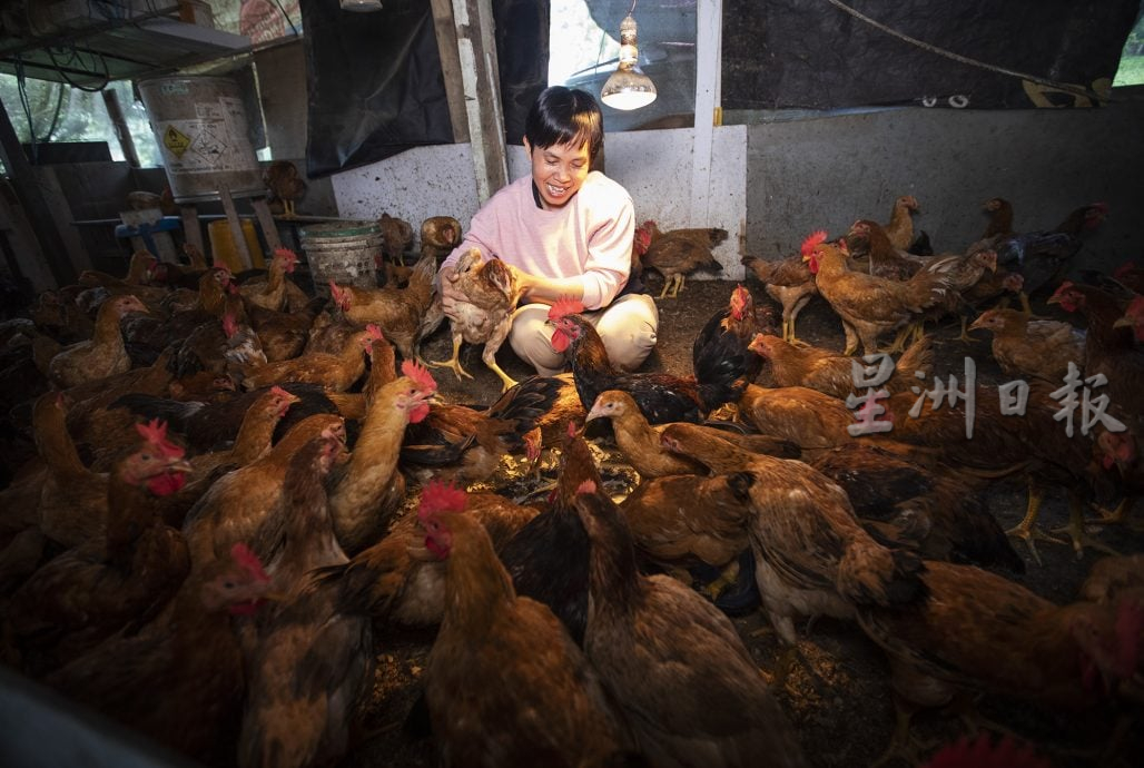 星角摄/乡村田园生活