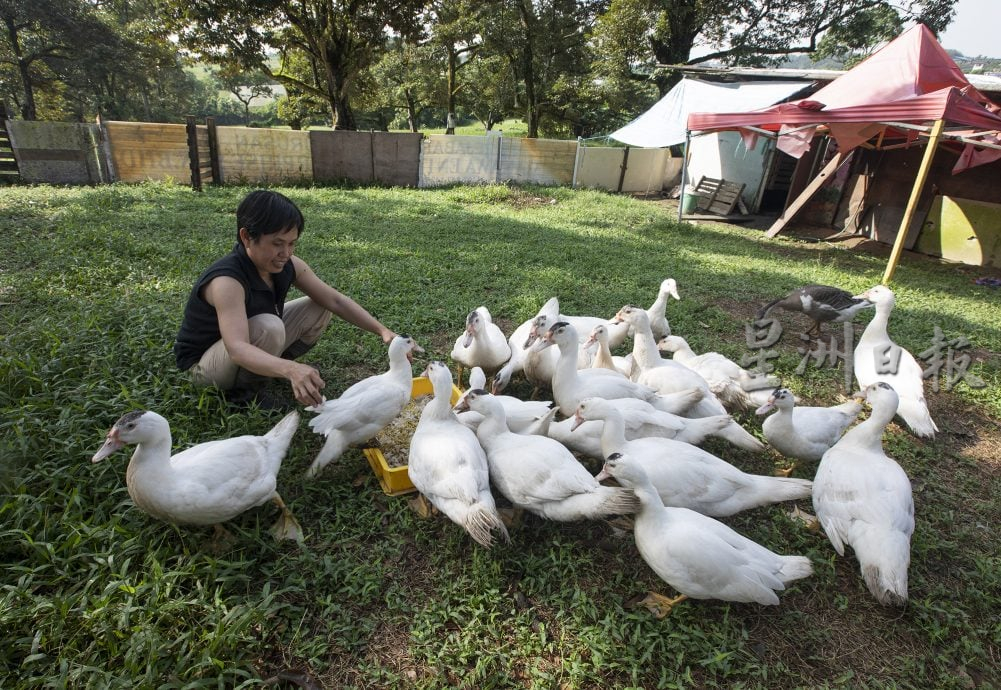 星角摄/乡村田园生活
