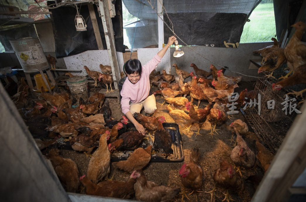 星角摄/乡村田园生活