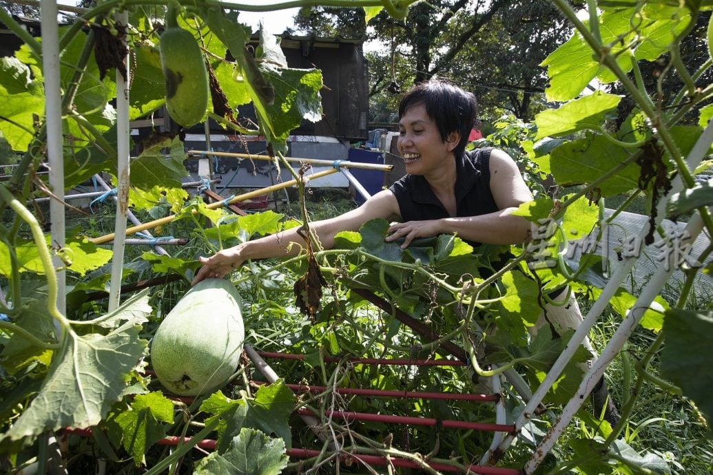 星角摄/乡村田园生活
