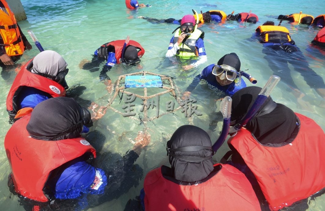 东(已签发):大马海军及中学生在停泊岛进行鹿角珊瑚苗的种植工作