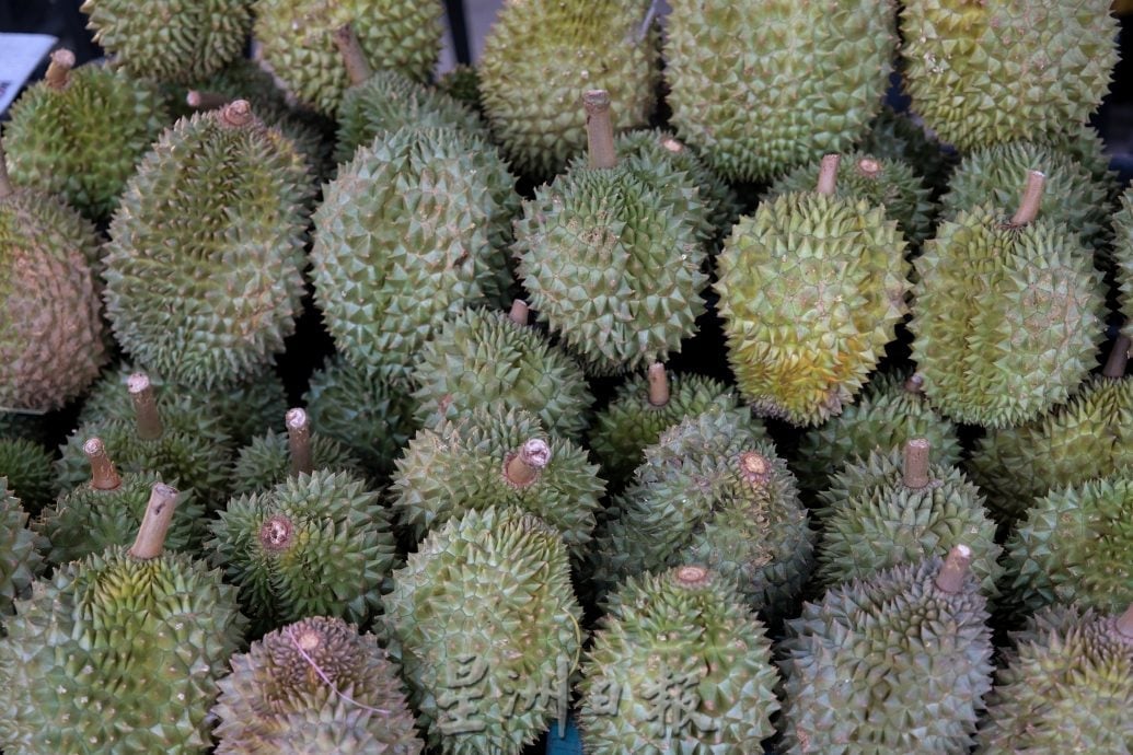 东:已签发/各品种榴梿上架,碰上假期,饕客尝鲜,日销甚至可达1公吨