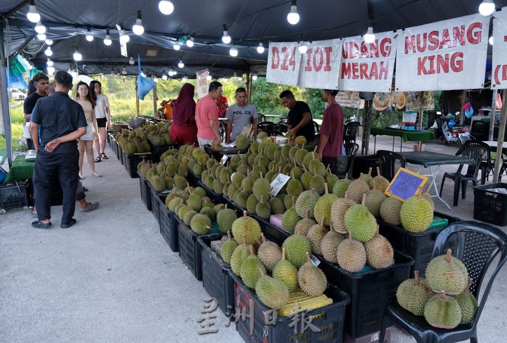 东:已签发/各品种榴梿上架,碰上假期,饕客尝鲜,日销甚至可达1公吨