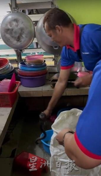大都会（版2头）/垃圾阻塞成灾惹祸，小蛇随涨水游入厨房吓坏人