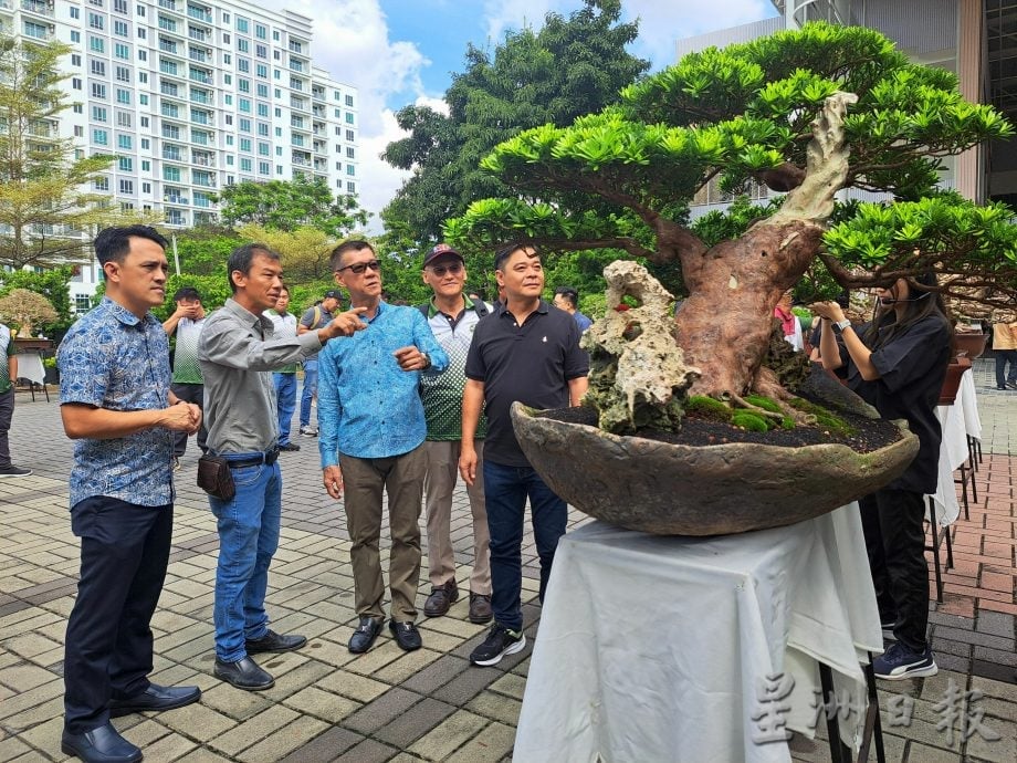 vip文（大北马）槟城盆栽展赛会