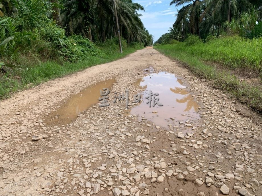 （古城版）巴力海南路路面坑洞多 火箭市议员促尽快重铺