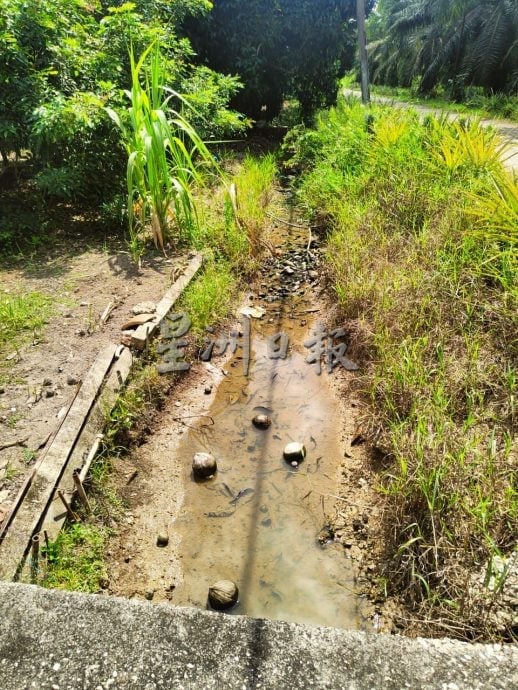（古城版）巴力海南路路面坑洞多 火箭市议员促尽快重铺
