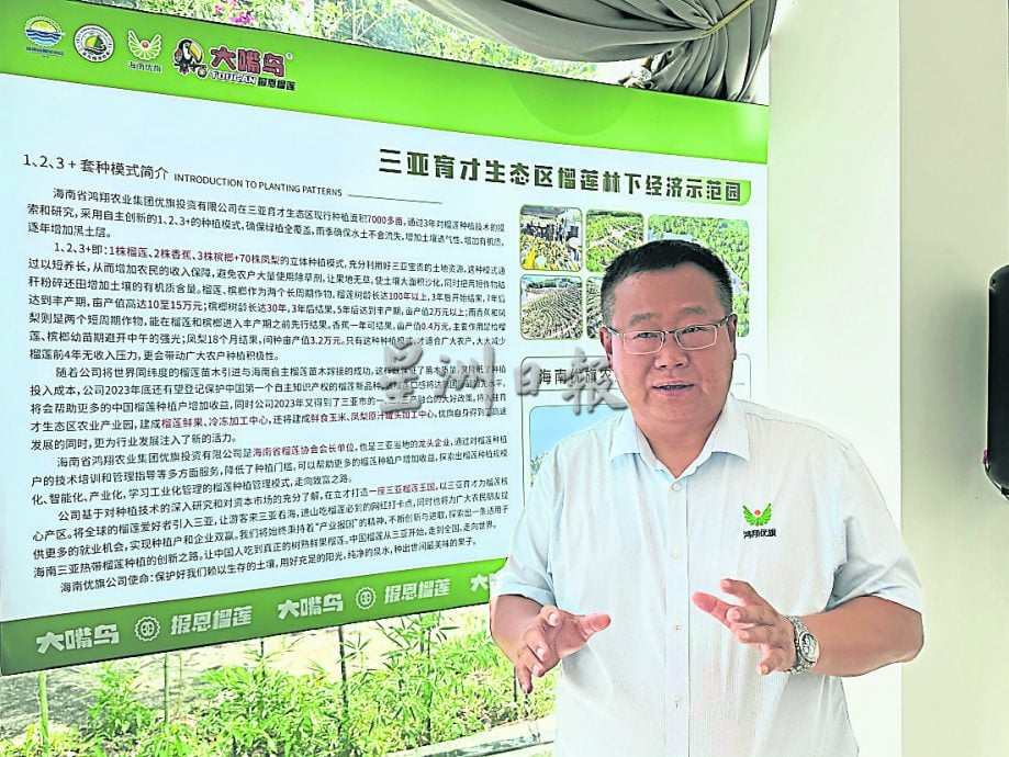 本报特派/ 海南种植生产榴梿