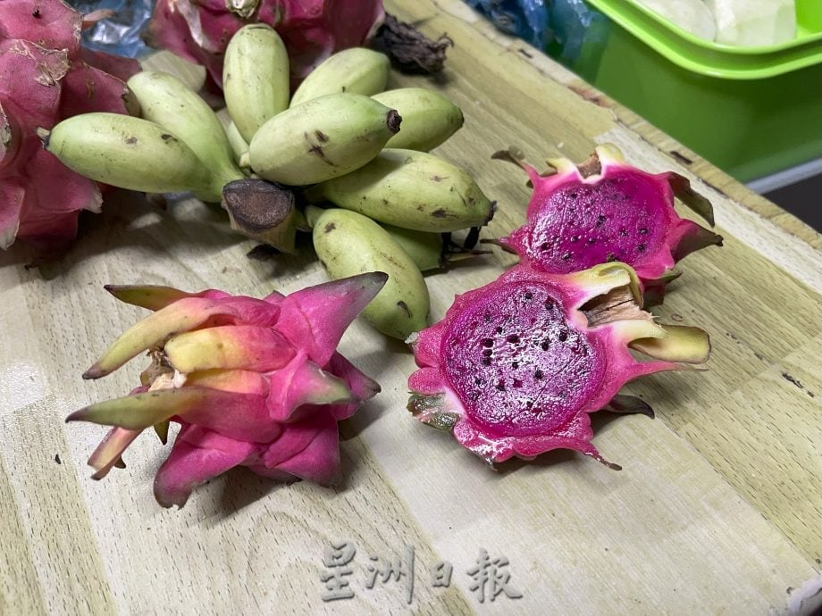 已签发 柔:善心美事:蔬果大使李兴凉校园派送“丑蔬果”