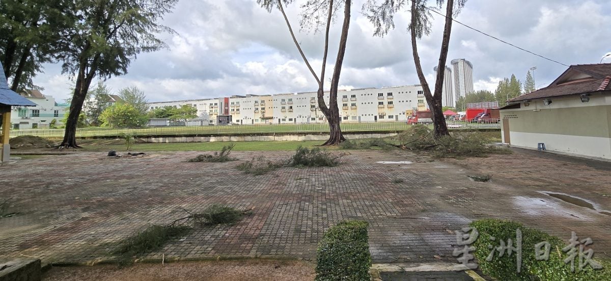 凌晨刮暴风雨 吉里望数区树倒 浮罗加东最严重