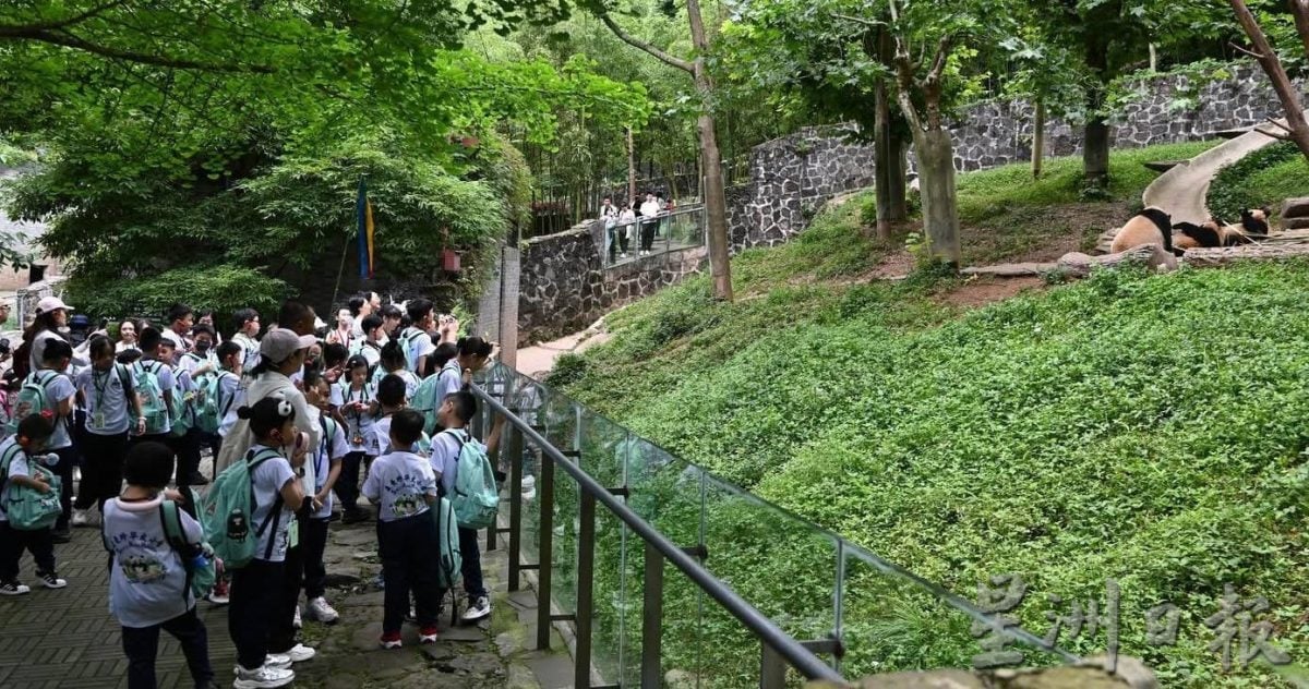 北海麦曼珍华小中国成都研学之旅。
