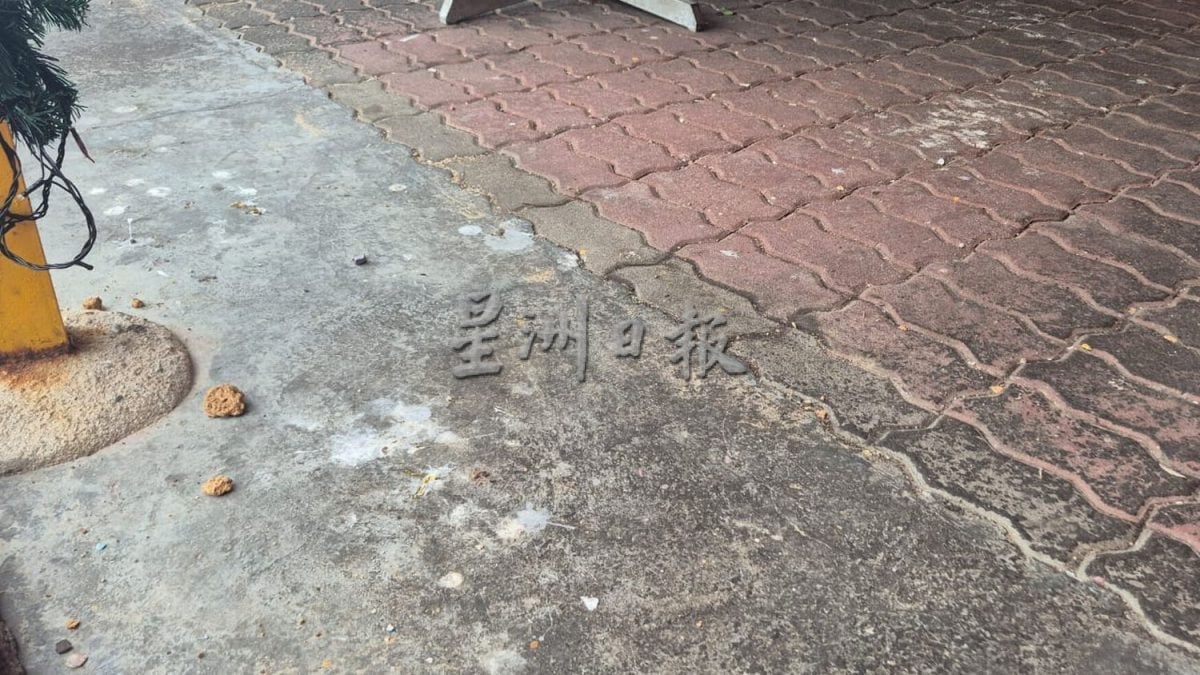 葡萄牙村乌鸦为患