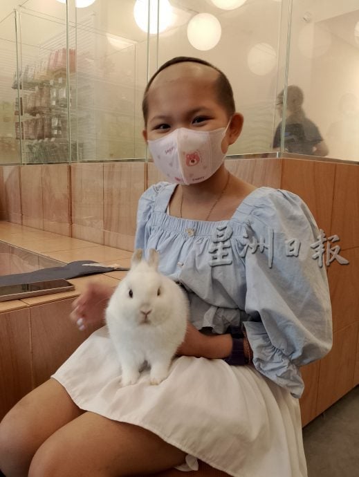 必下+转所有地方版-请签发(大都会)抗癌少女梁天宝筹款达标 即将展开干细胞移植治疗/3图