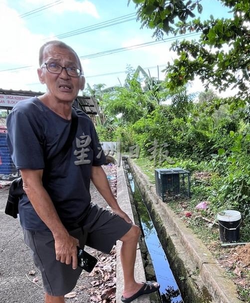 (古城第四版主文)晋巷绿雅花园公寓排水沟常有污水涌入