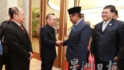 陈泓缣：巩固马合作伙伴地位 确保大宗商品稳定供应